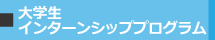 大学生インターンシッププログラム