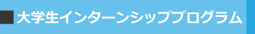 大学生インターンシップ