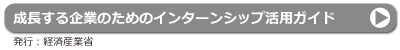 インターンシップ活用ガイド（経産省）